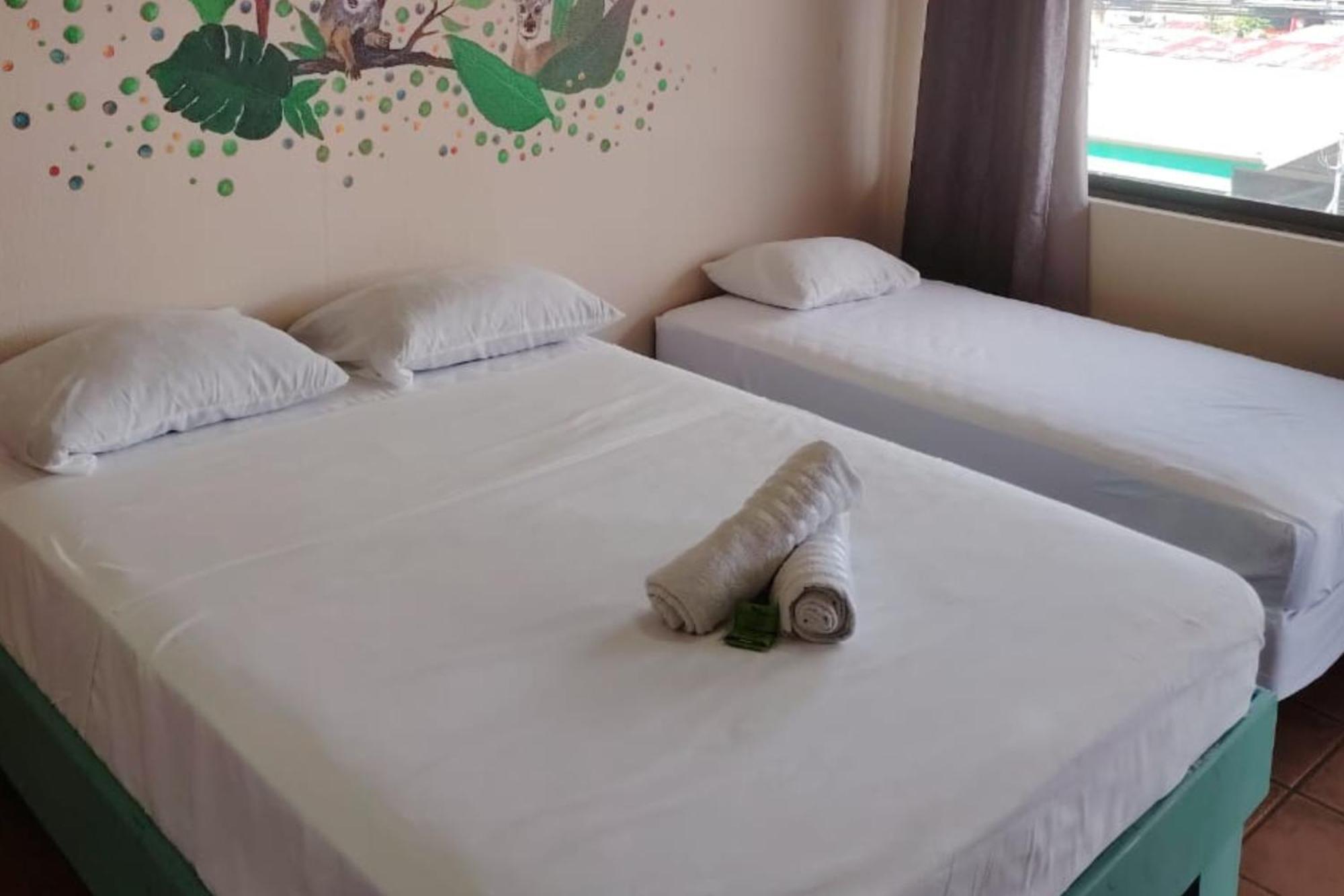 Hospedaje Papalotes كيبوس المظهر الخارجي الصورة